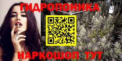 стафф Можга
