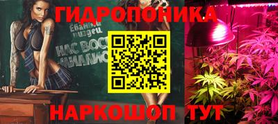 стафф Можга