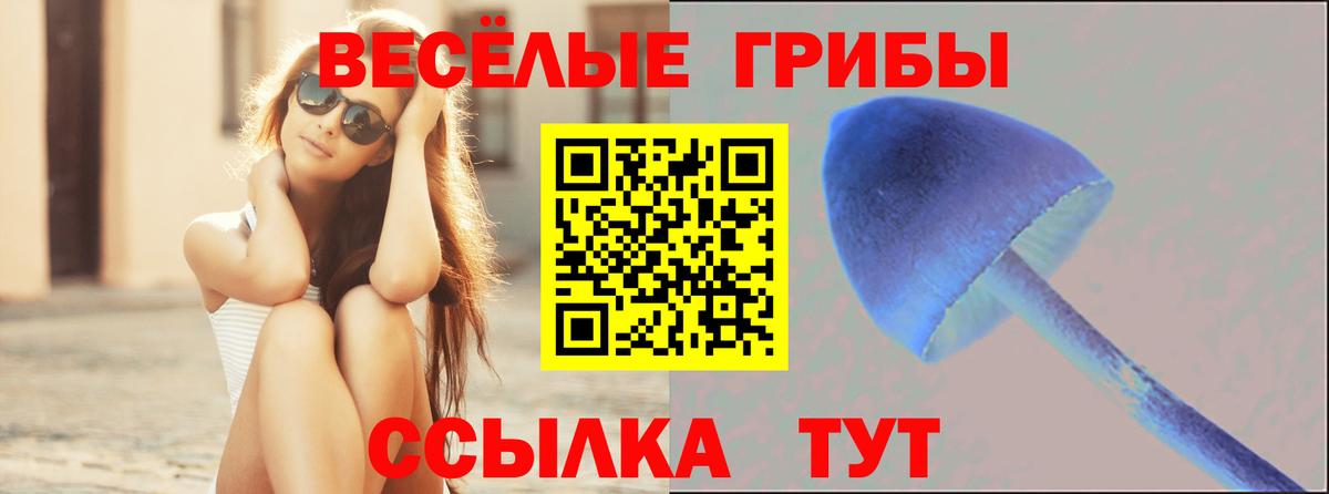 Верхняя Пышма  Псилоцибиновые грибы Cubensis  Вход с VPN 